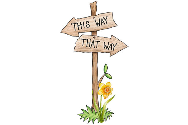 Erlebnisabend Entscheidungsfindung